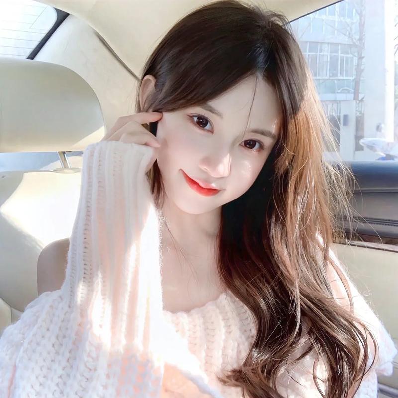 蜘蛛池中的IP地址轮换策略